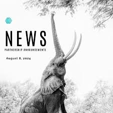 The Significance of B2B Partnerships in the Modern Business Landscape The Significance of B2B Partnerships in the Modern Business Landscape